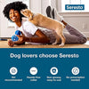 Seresto® Small Dog Flea & Tick Collar – 2 Pack | 8-Month Vet-Recommended Protection