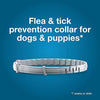 Seresto® Small Dog Flea & Tick Collar – 2 Pack | 8-Month Vet-Recommended Protection
